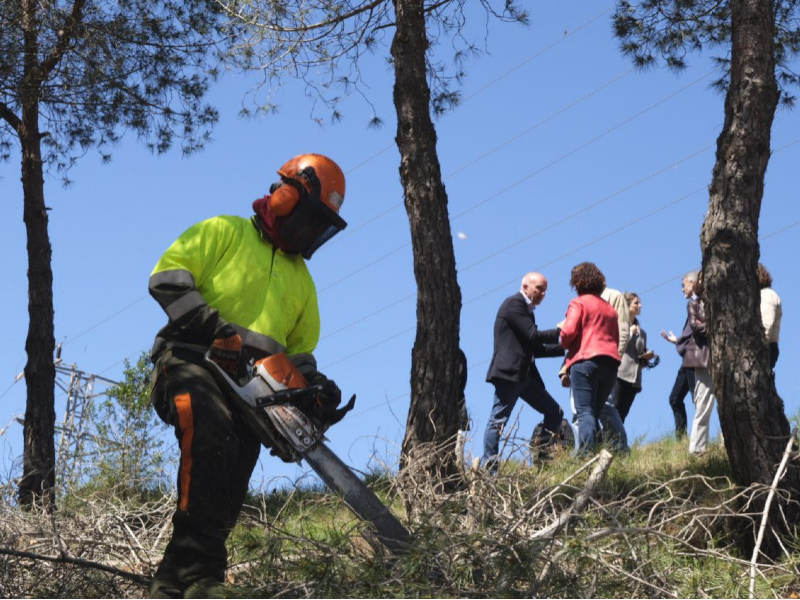 El conseller Mascort durant la visita a les actuacions de prevenció d¿incendis al Parc Natural de la Serra de Collserola 