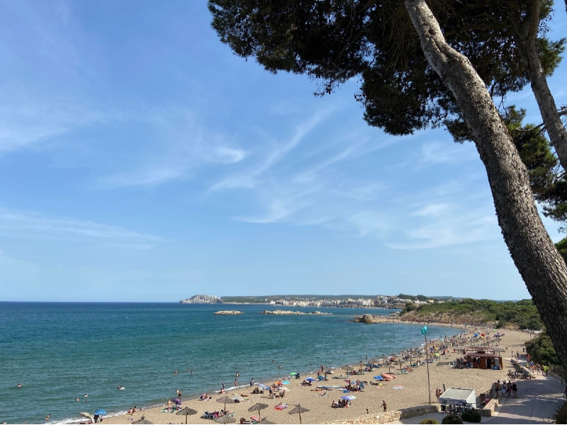 Imagen del artículo Els municipis costaners sol·liciten 5.867 usos temporals a les platges catalanes aquest estiu
