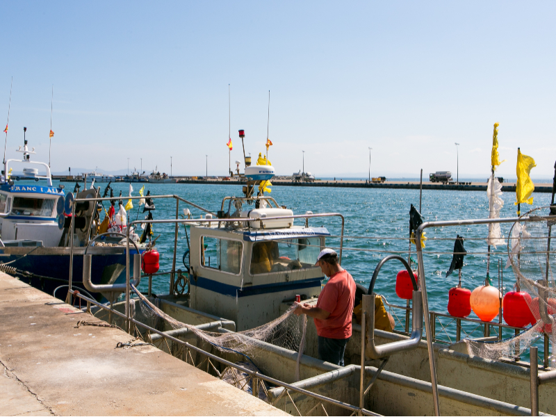 Imagen del artículo Els pescadors de cap de Creus s'associen en una Organització de Productors Pesquers per millorar la comercialització dels seus productes
