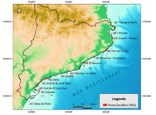 Imagen del artículo Acció Climàtica inspecciona l'estat de l'escull artificial situat davant les Cases d'Alcanar, el més meridional de Catalunya