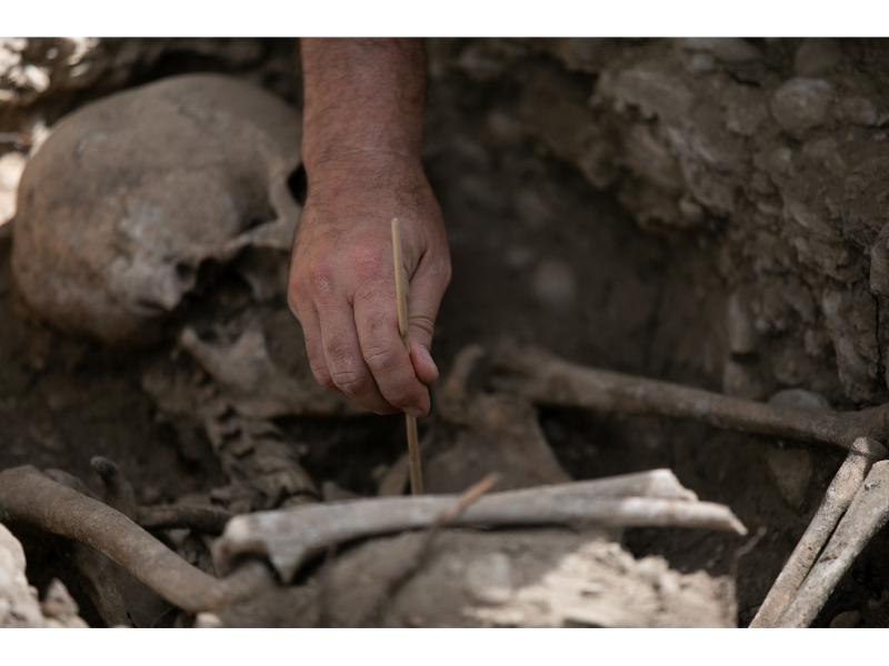 Imagen del artículo L'excavació a la fossa del cementiri de Bellaguarda (les Garrigues) recupera les restes òssies de 15 individus de la Guerra Civil