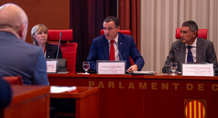 Moment de la compareixença del conseller Ordeig al Parlament.