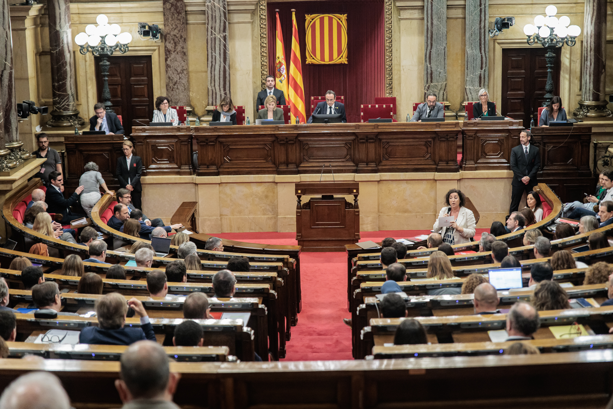 La consellera Romero durant la seva intervenció al Parlament