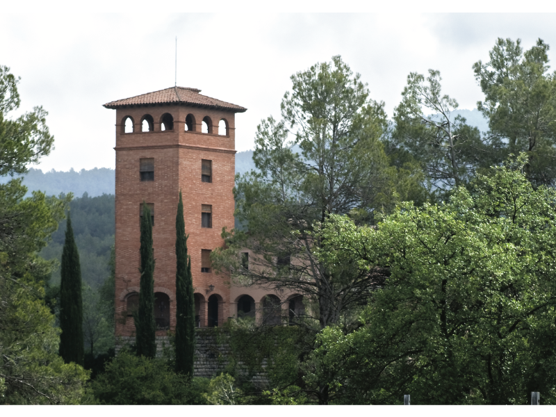 Visita a Món Sant Benet