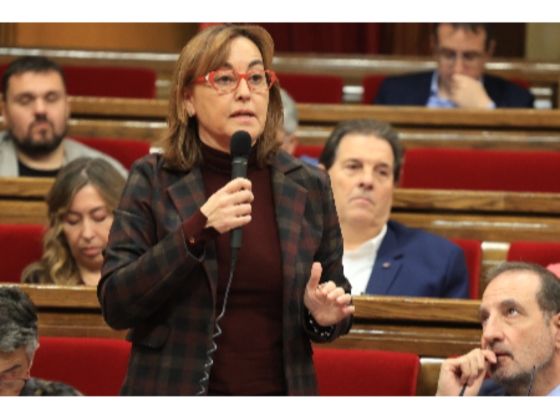 Paneque Parlament mobilitat transport públic 