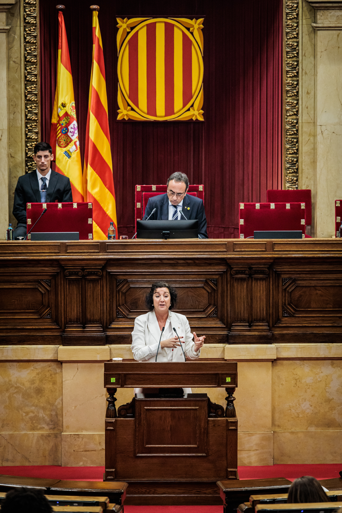 La consellera Romero durant la seva intervenció al Parlament