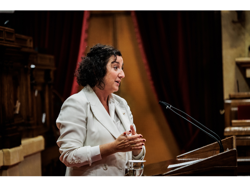 La consellera Romero durant la seva intervenció al Parlament