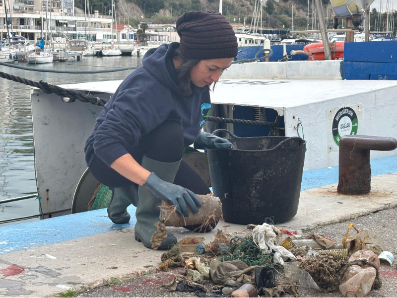 Una imatge d'avui al Port d'Arenys de Mar