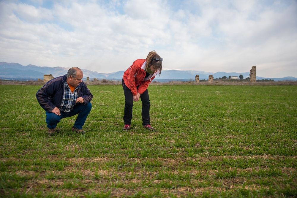 El Departament d’Agricultura fa nous pagaments de més de 3,2 M€ en ajuts per la sequera de 2023