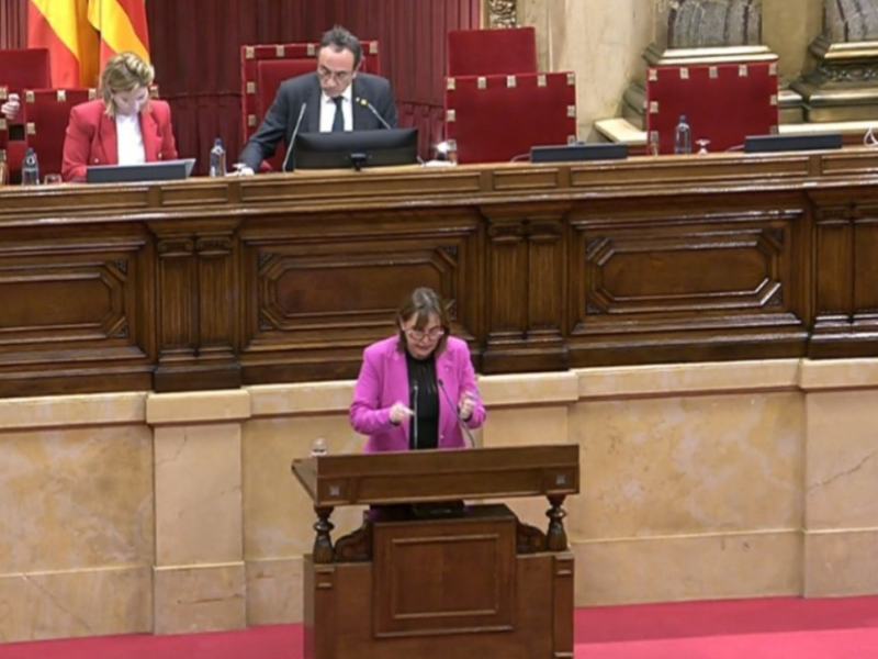 La consellera de Territori, Habitatge i Transició Ecològica, Silvia Paneque, al Parlament. 