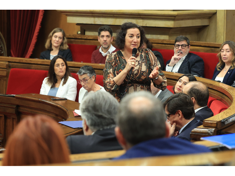 La consellera Romero durant la seva intervenció al Parlament