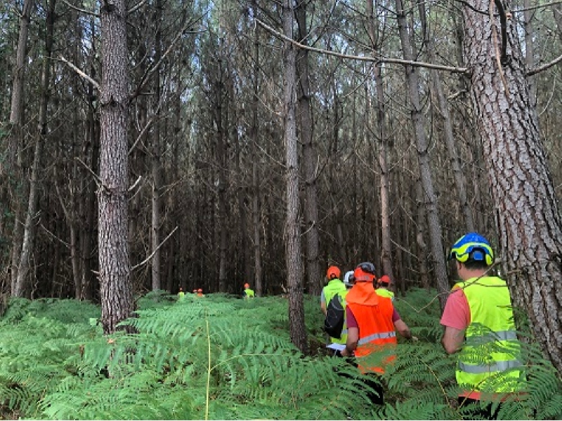 Un dels projectes passa  per qualificar i actualitzar els coneixements dels professionals dedicats a la gestió forestal dels boscos  