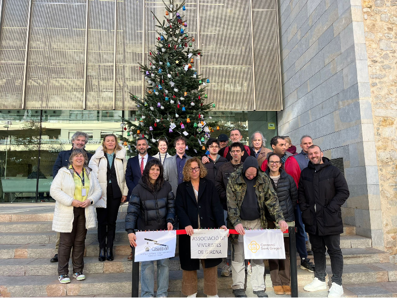 Engalanada de l'arbre de Nadal amb entitats socials