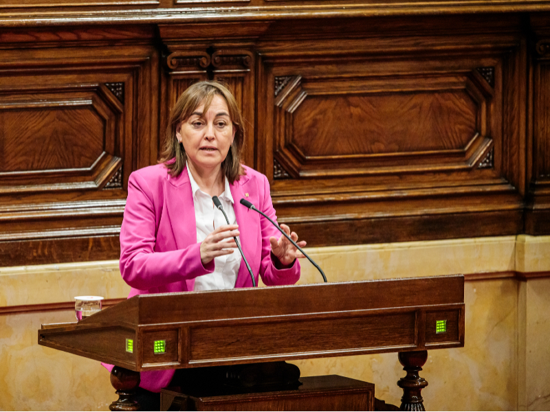 La consellera Sílvia Paneque al Parlament. 