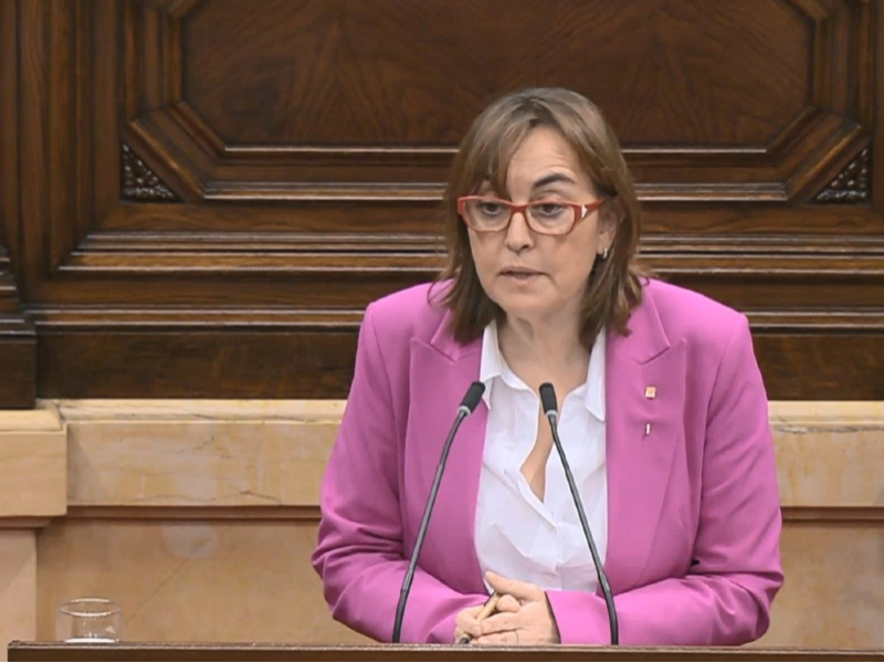 La consellera Sílvia Paneque al Parlament. 