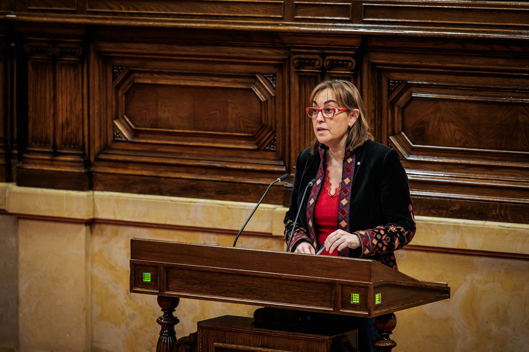 La consellera Paneque durant una de les intervencions al Parlament La consellera Paneque durant una de les intervencions al Parlament