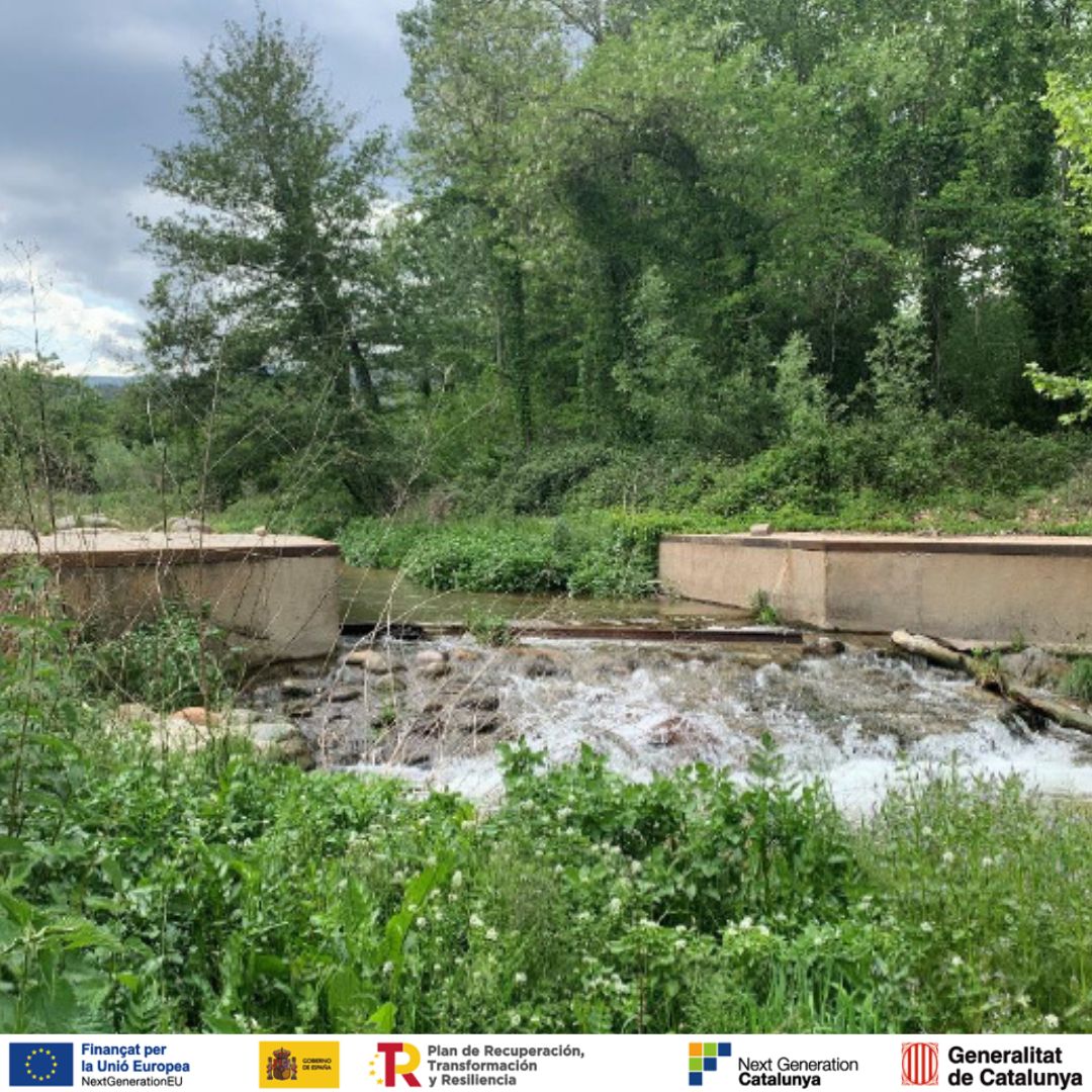 Imatge actual de l'estació d'aforament.