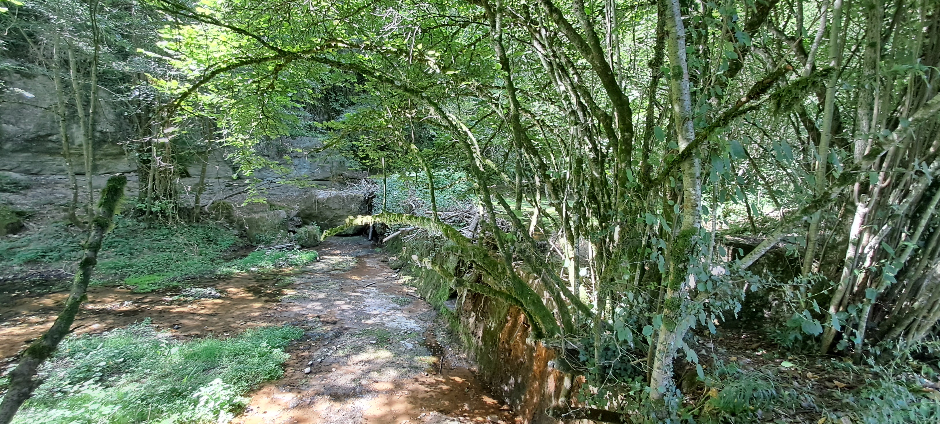 Un dels dics que hi ha a la riera.