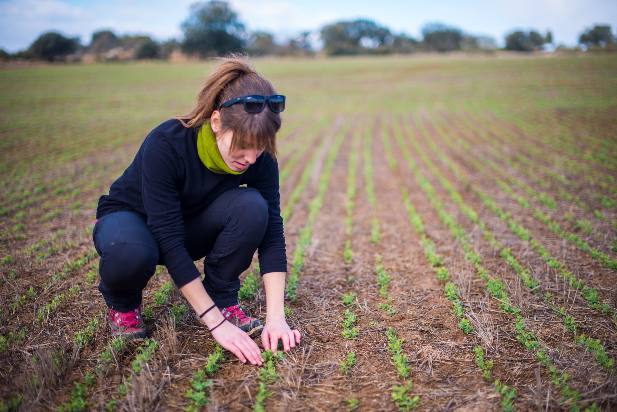 Dels 187 beneficiaris, 126 són joves agricultors
