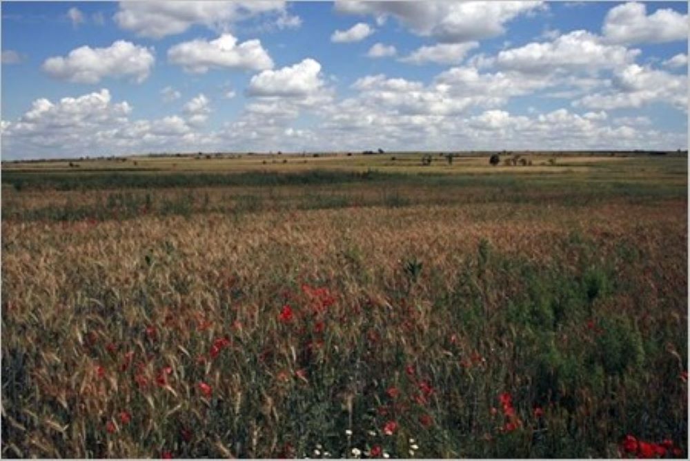 FOTO NP PAGAMENT AVIFAUNA