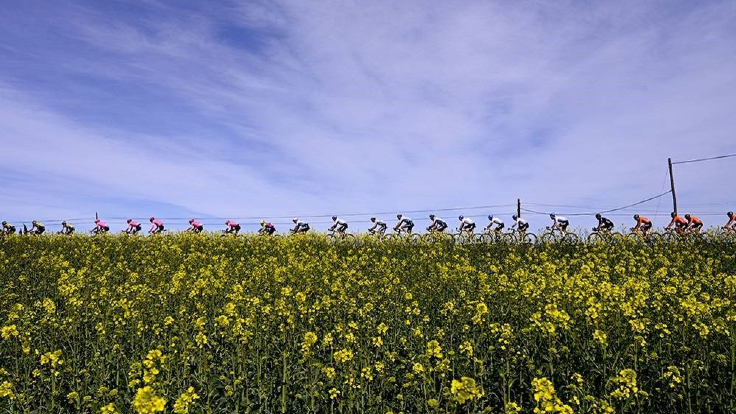 Fotografia Fotografia