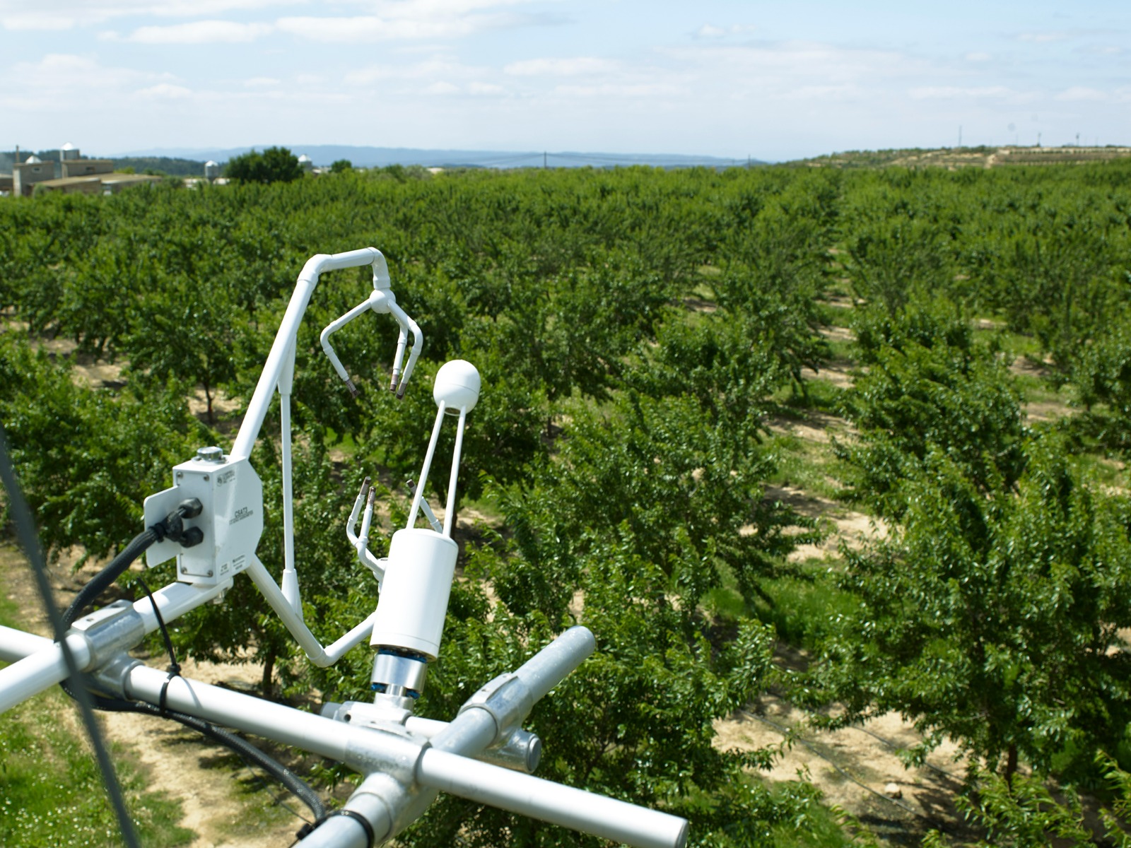 FOTO NP AJUTS CR SEIASA