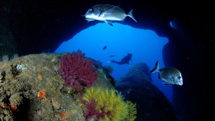 Parc Natural del Montgrí, les Illes Medes i el Baix Ter