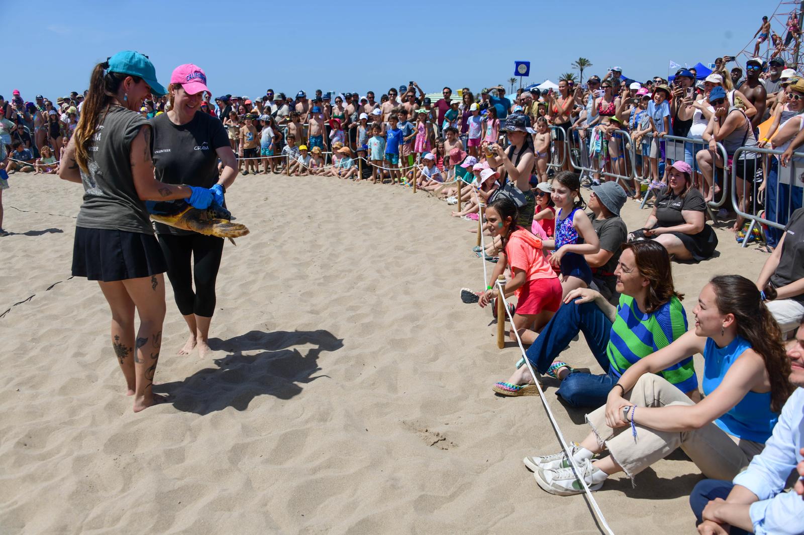Alliberament de tortugues al Prat de Llobregat 