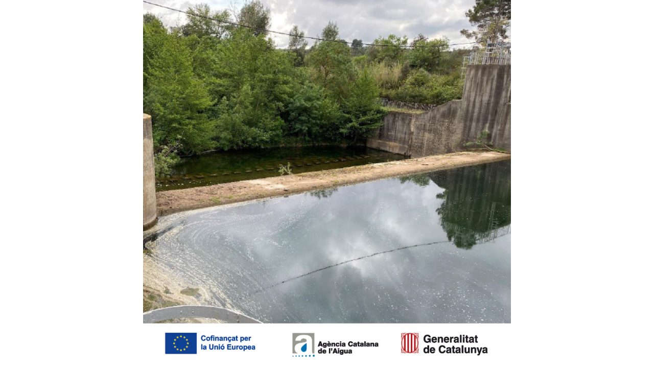Zona de coronació de l'assut de Pont de Molins. 