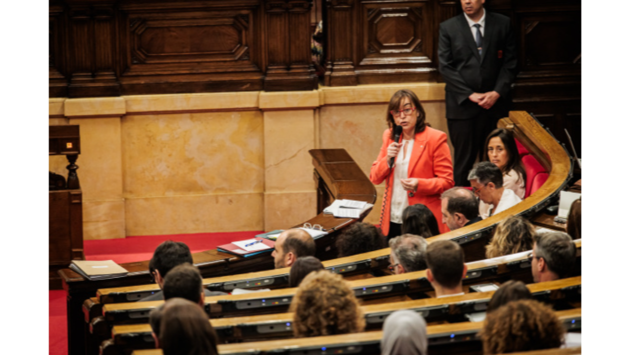 consellera Paneque consellera Paneque