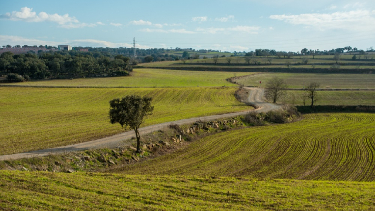 FOTO NP PAGAMENT DISSOCIATS